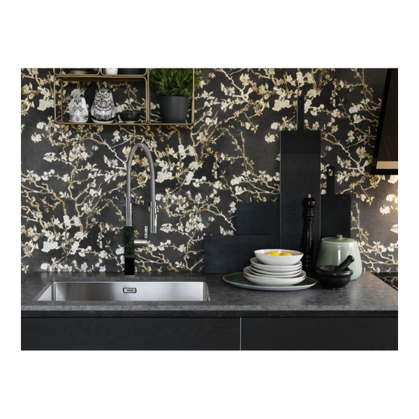 Franke Sink Set, BOX BXX 110 68, 725(L) x 450(W) x 200(D)mm, Stainless Steel Sink